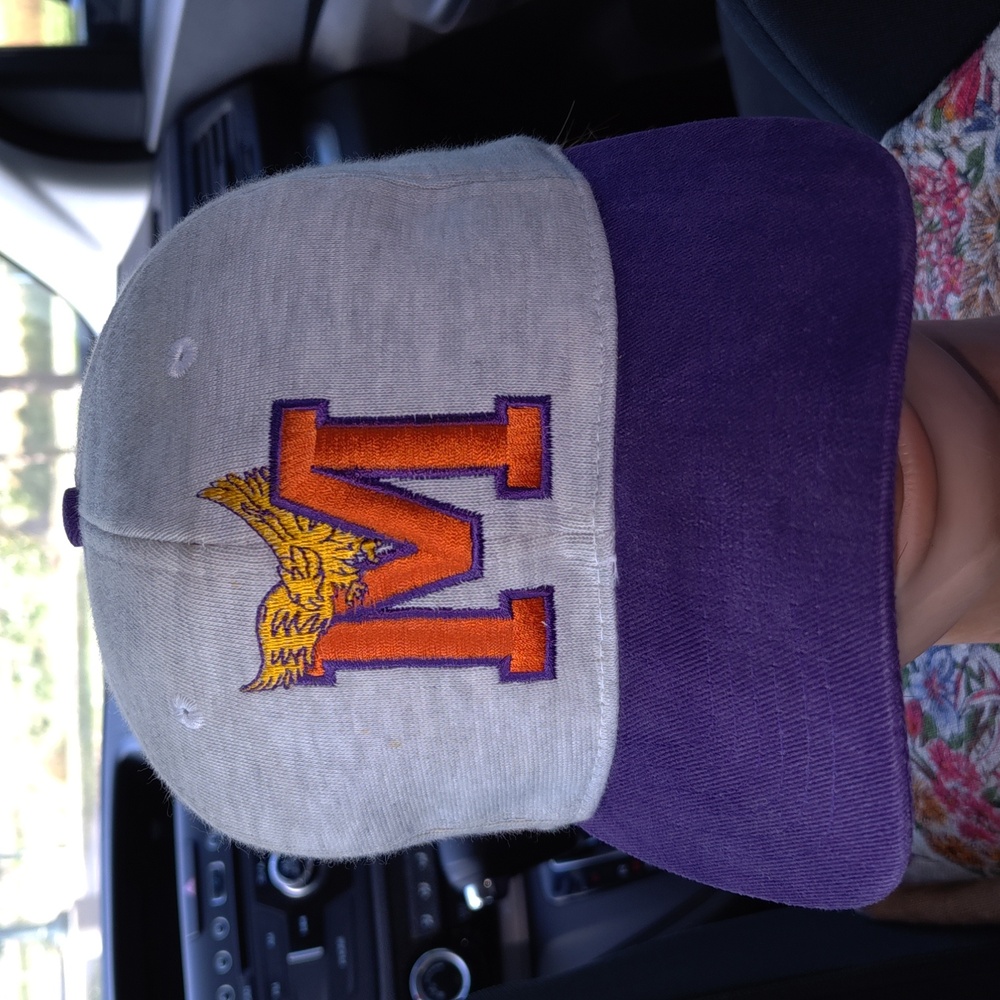 Vtg Minnesota State Screaming Eagles Embroidered Coach Snapback Cotton Cap Hat